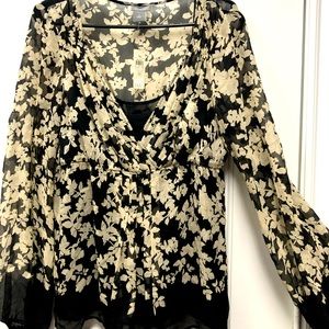 Ann Taylor sheer blouse